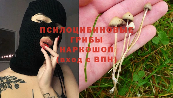 крисы Абдулино